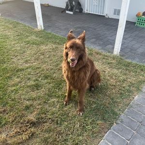 Meet your Posher, Rob